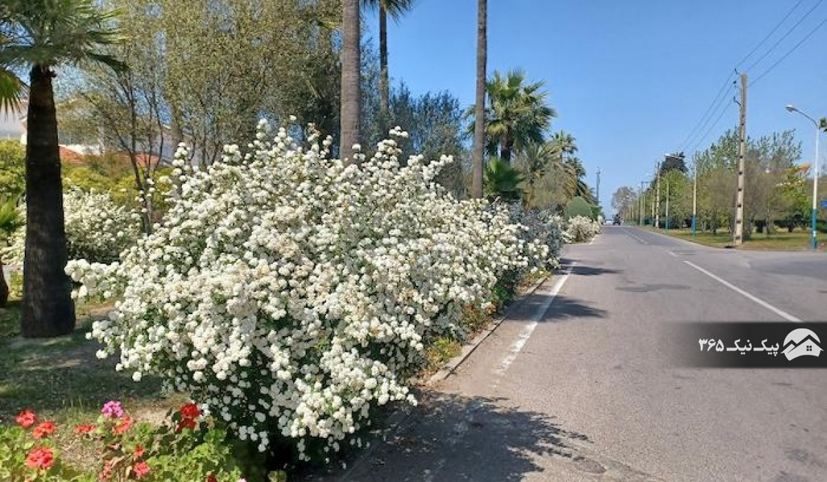 تصویر ورودی دوم دریاکنار