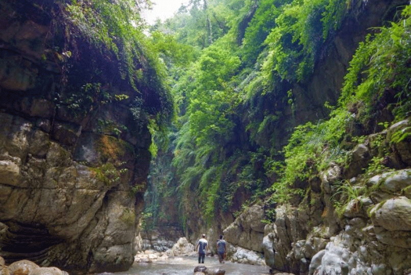 تنگه دار نوشهر