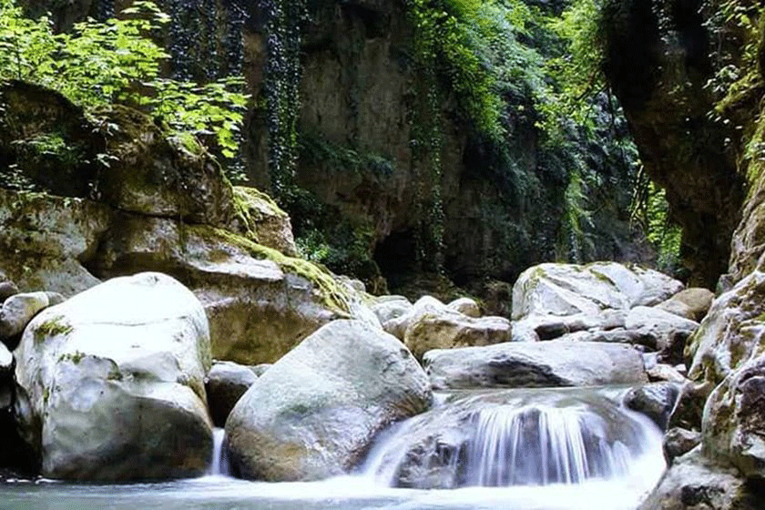 تنگه دار نوشهر