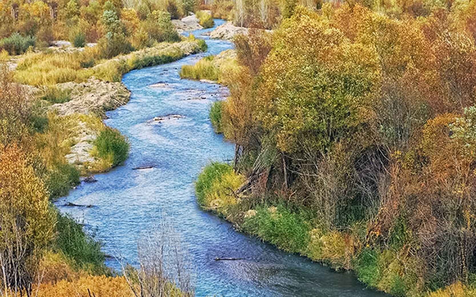 روستای زرین دشت