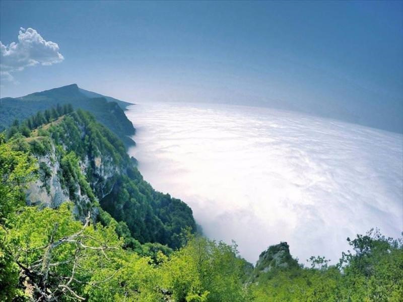 جنگل جهان نما کجاست